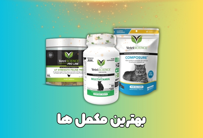 بهترین مکمل ها