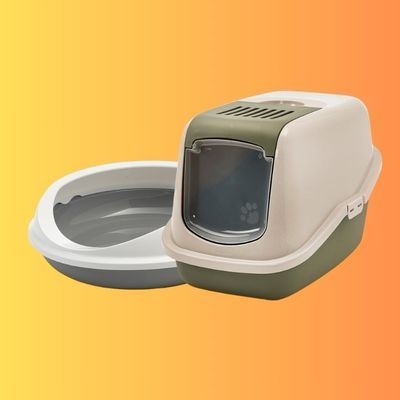 تصویر دسته بندی ظرف خاک گربه