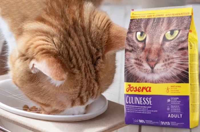 تشخیص اصل بودن جوسرا