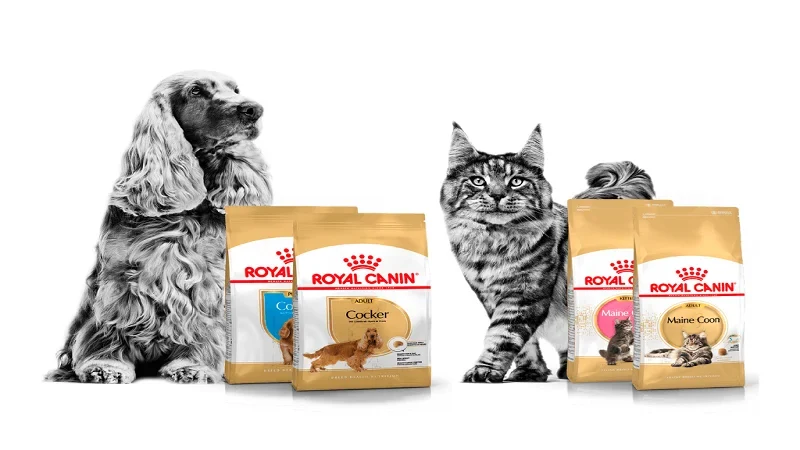 بسته بندی جدید رویال کنین 